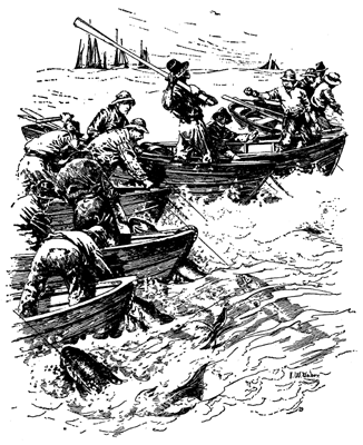 It was wonderful fishing. Harvey could see the glimmering cod below,... biting as steadily as they swam...but so close lay the boats that even single hooks snarled.